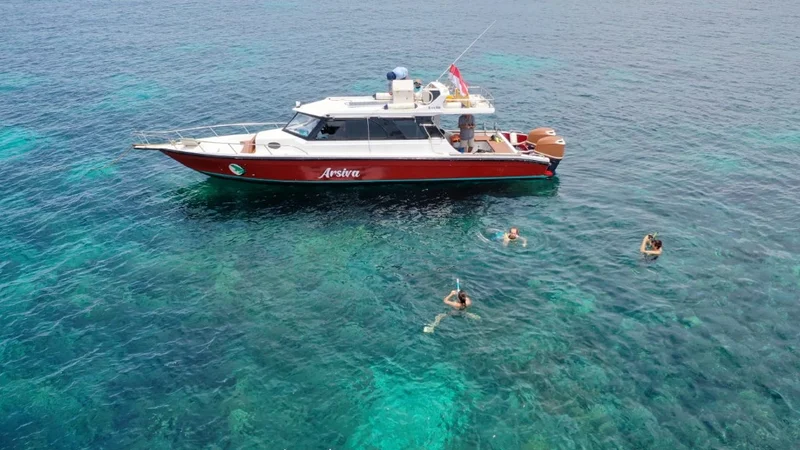 Snorkeling activity from speedboat Arsiva — Komodo National Park crystal clear water